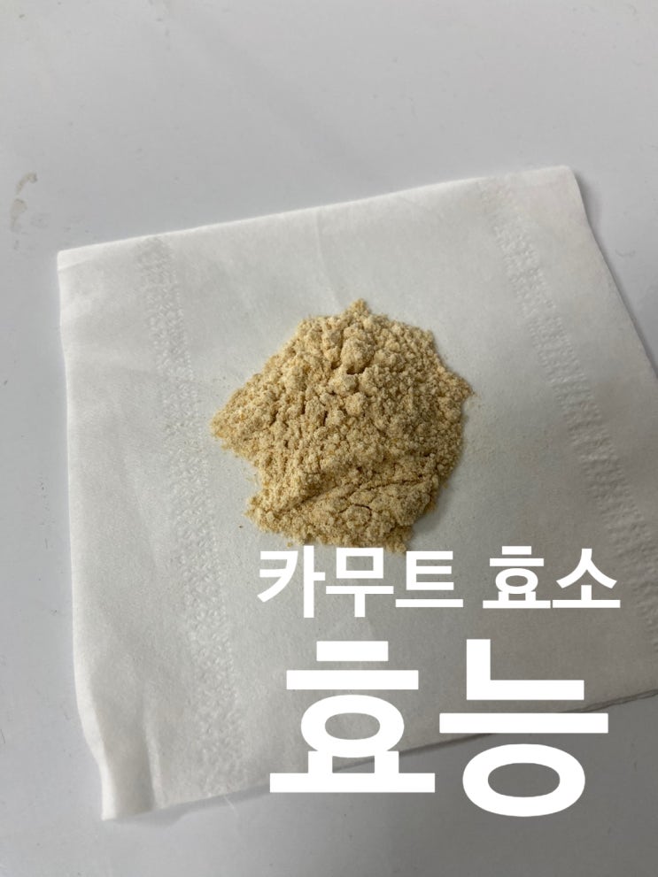  카무트 효소 효능 이건 혁명이예요