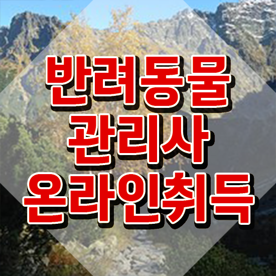  반려동물국가자격증 , 반려동물관리사 자격증 쉽고 간편하게 취득한 방법 추천합니다