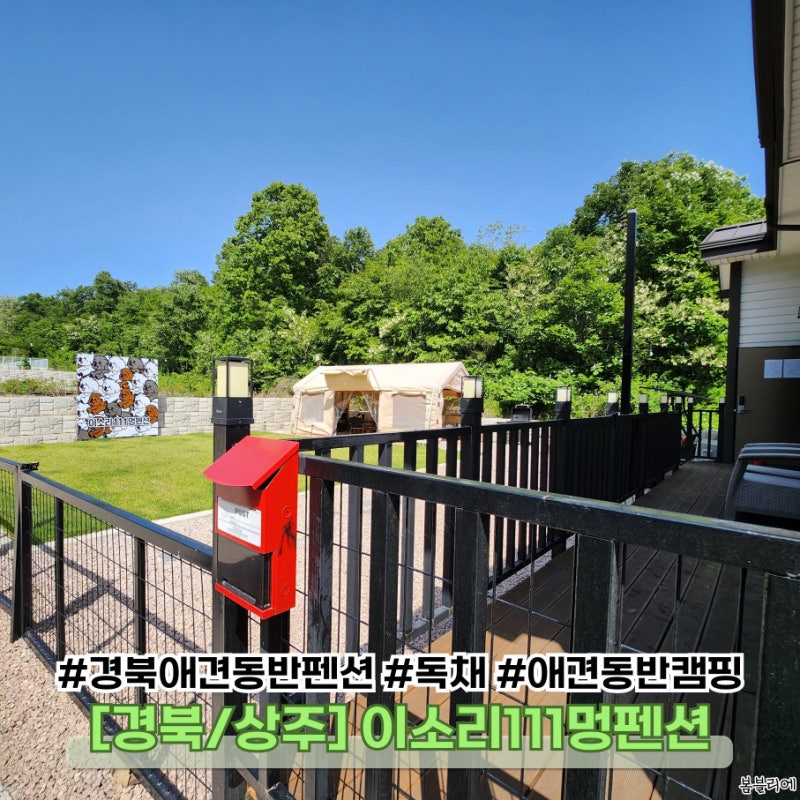 사진 4