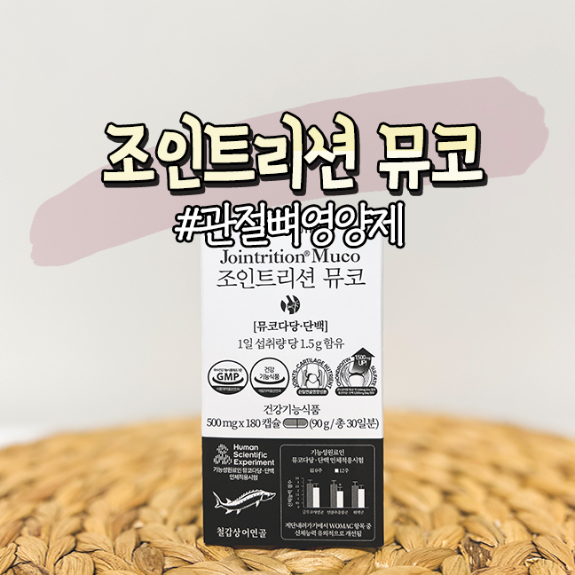  관절뼈 영양제 골절 깁스 후 관리중