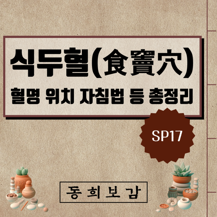  식두혈(食竇穴) SP17, 소속경맥 혈명 위치 특성 자침법 등 총정리