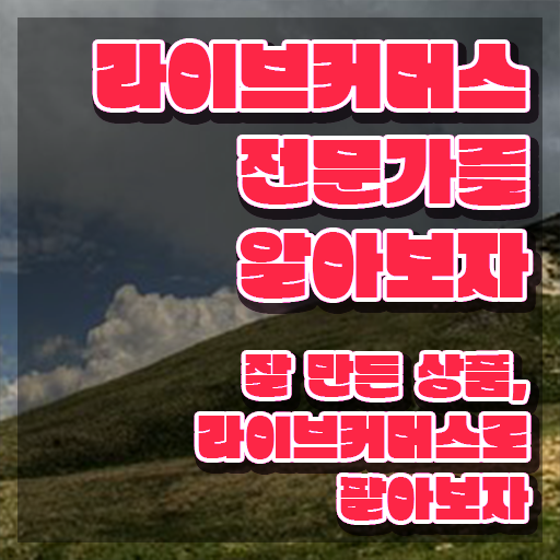  라이브커머스 PD , 라이브커머스전문가 자격증 상세한 취득한 노하우 , 고용 전망