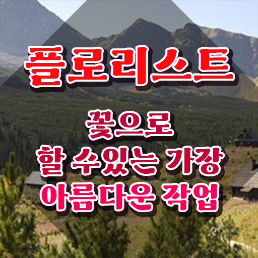  강남꽃꽂이원데이클래스 , 플로리스트 자격증 20일 만에 합격한 후기 및 활용 방법