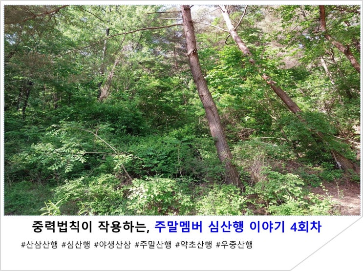  중력법칙이 작용하는, 주말멤버 심산행 이야기 4회차