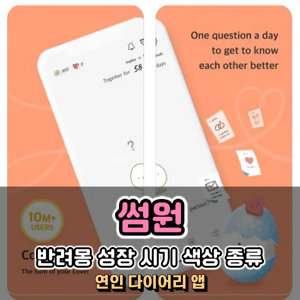  썸원 반려몽 성장 시기 색상 종류 정보 깔끔하게 정리