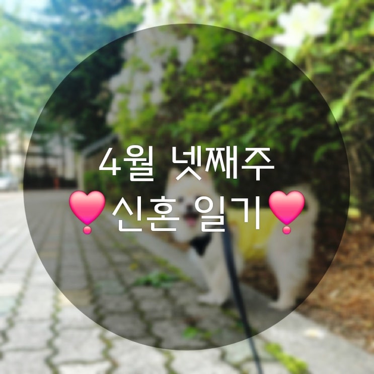  4월 넷째 주의 신혼 일상기록