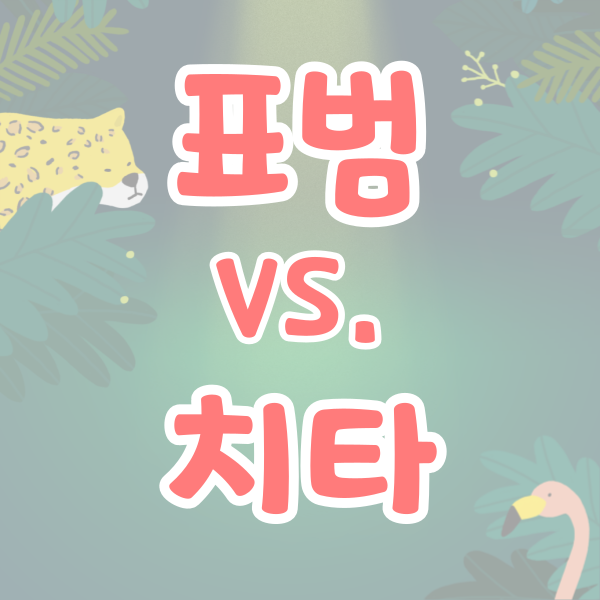치타와 표범 차이점 다른점 무늬 서식지 구분 구별하기