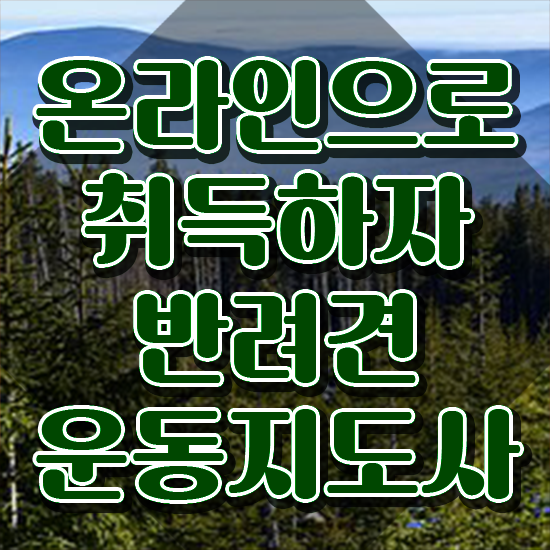  단기 자격증 추천 , 반려견운동지도사 대학진학, 경력없이 직장과 병행하며 단기간에 성공한 비법