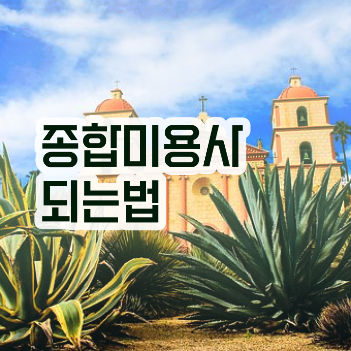 피부관리사 자격증 국비지원 , 피부관리사 준비 시작할 때, 취득해야 하는 면허증은? 온라인으로 손쉽게