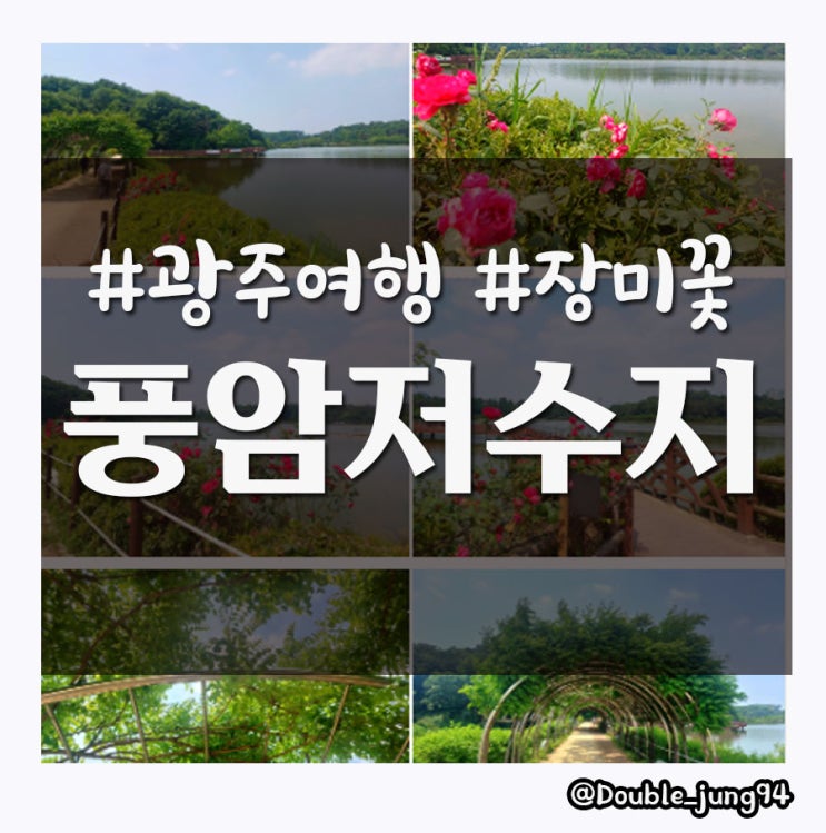 광주 서구 장미꽃이 피기 시작한 풍암저수지 산책코스