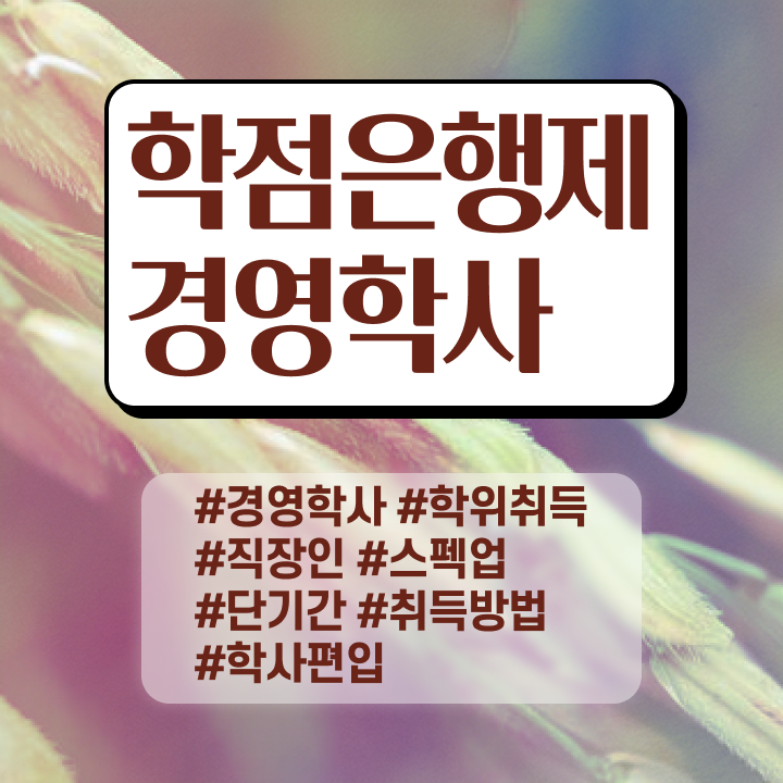  , 경영학 전공 학은제 동영상만 듣고 단기간에 준비하는 방법