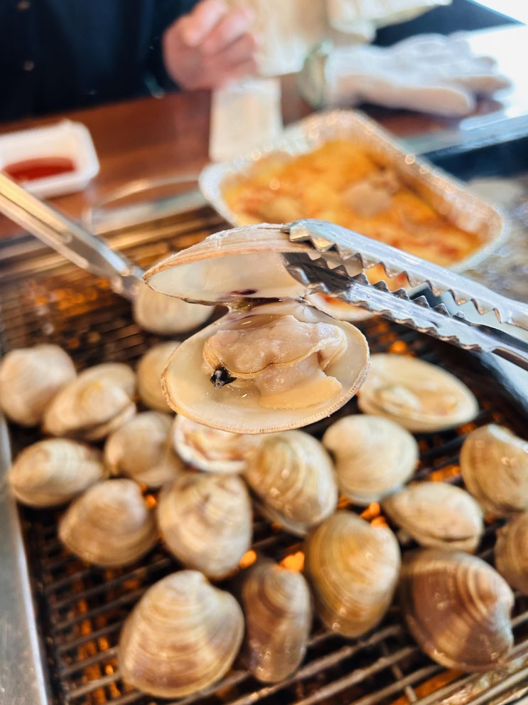  속초 조개구이 무한리필 조개찜 맛집추천 속초조개마을