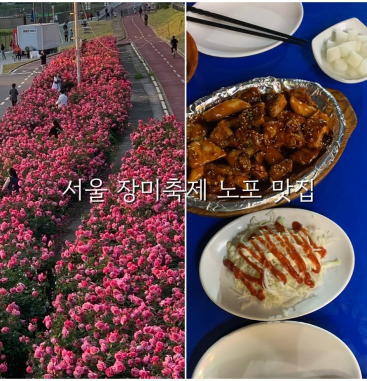  서울 중랑 장미축제와 숯불 바베큐 노포 야장 맛집