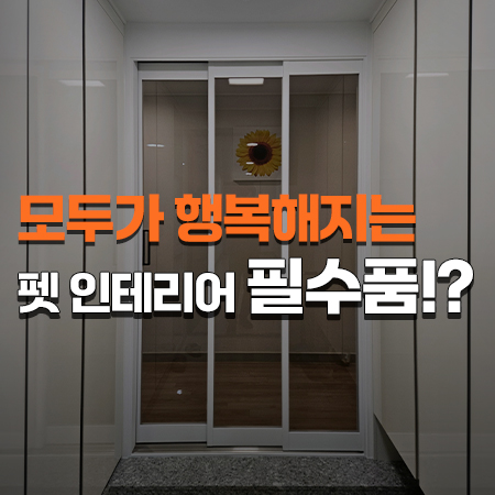  반려동물도 반려인도 행복해지는 펫 인테리어 필수품!? / 평택 3연동중문 설치