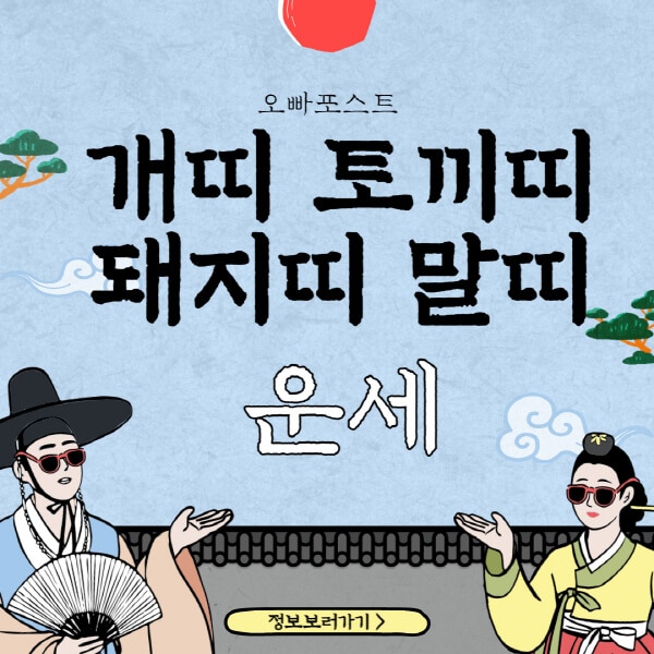  2023년 개띠, 토끼띠, 돼지띠, 말띠 운세 전망