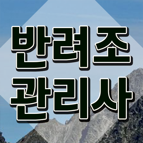  말하는 앵무새 종류 , 반려조관리사 자격증 비용없이 온라인으로 취득한 노하우 , 전망