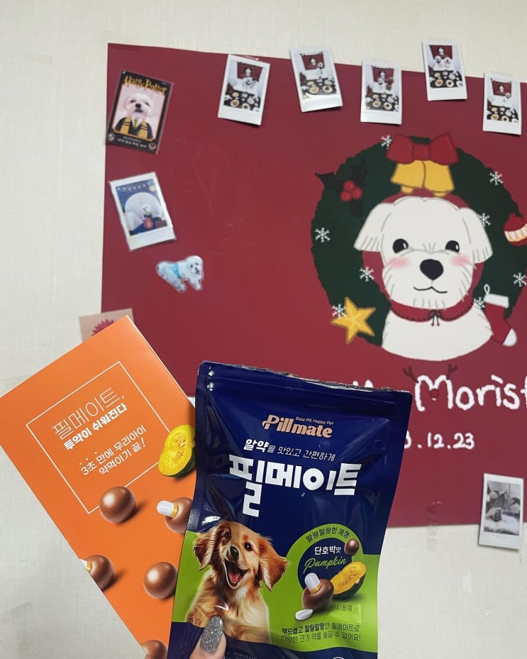 강아지 투약보조제 추천: 필메이트