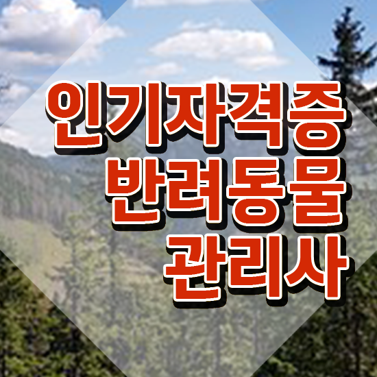  , 반려동물관리사 자격증 온라인으로 준비한 과정 및 활용 방법