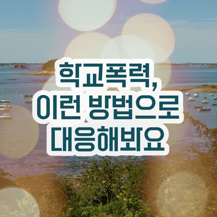  학교폭력예방교육강사 , 아동폭력예방상담사 자격증 20일 만에 취득한 정보 알아볼까요