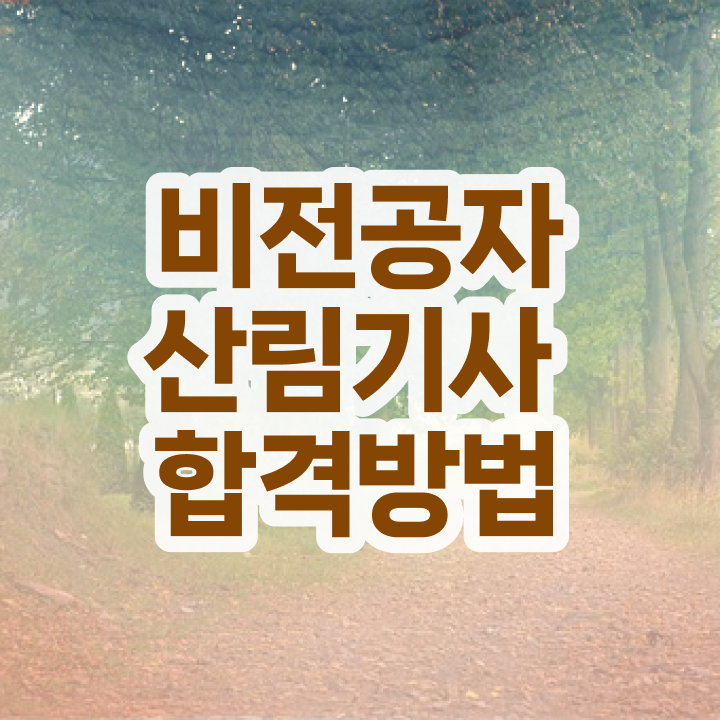  산림기사 시험일정 산림기사 자격요건 독학으로 쉽고 빠르게 완료한 비법