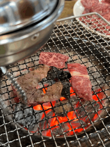  창원 중앙동 고기집 가야축산 가성비 좋은 한우집