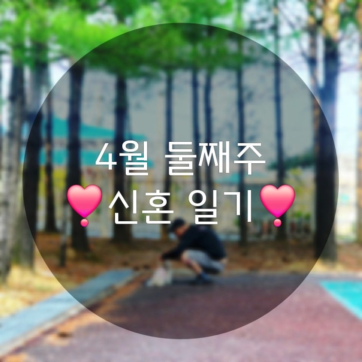  4월 둘째 주의 신혼 일상 기록