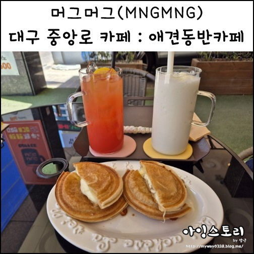  대구 중앙로 카페 머그머그 동성로 애견동반카페