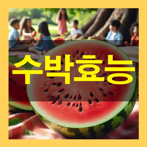  수박의 효능 부작용 칼로리 자세히 알아보자