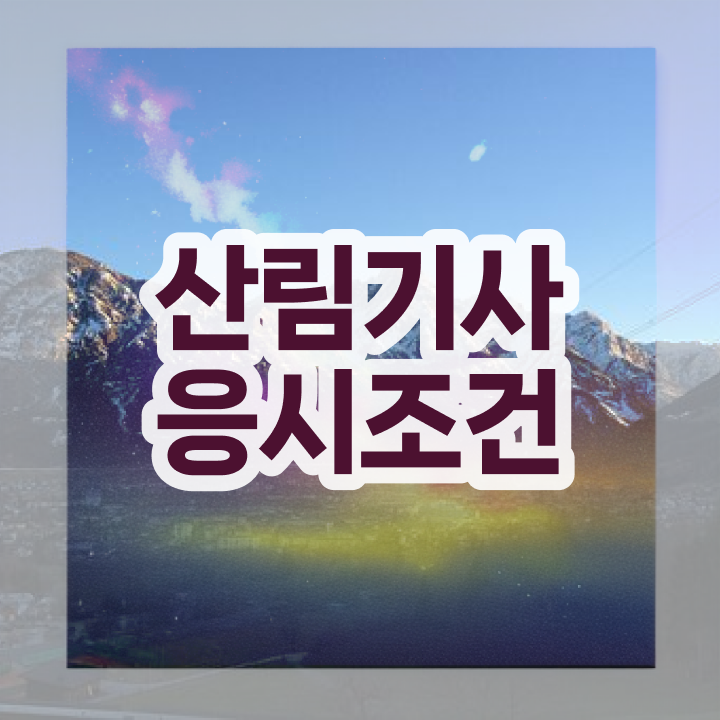  산림기사 필기과목 산림기사 시험응시조건 집에서 온라인으로 15주 동안 끝낸 전략