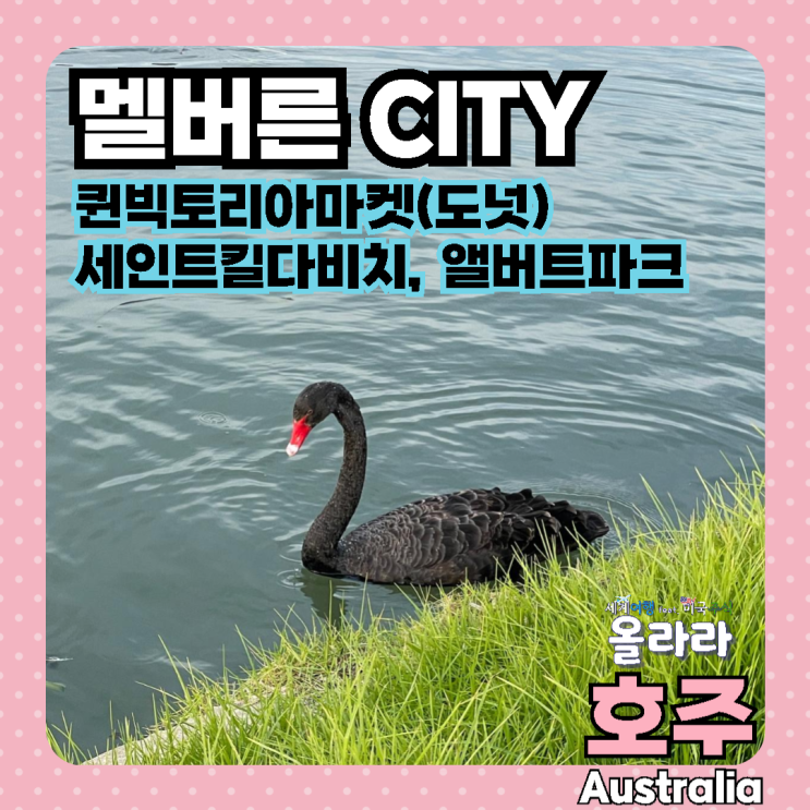  호주 멜버른 여행 가볼만한 곳 세인트킬다비치 앨버트파크 퀸빅토리아마켓