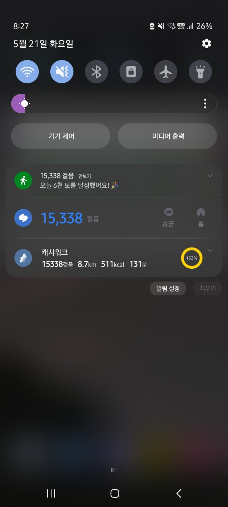 걷기운동챌린지 다리와 체력 그리고 남는 것 걷기운동챌린지 다리와 체력 그리고 남는 것