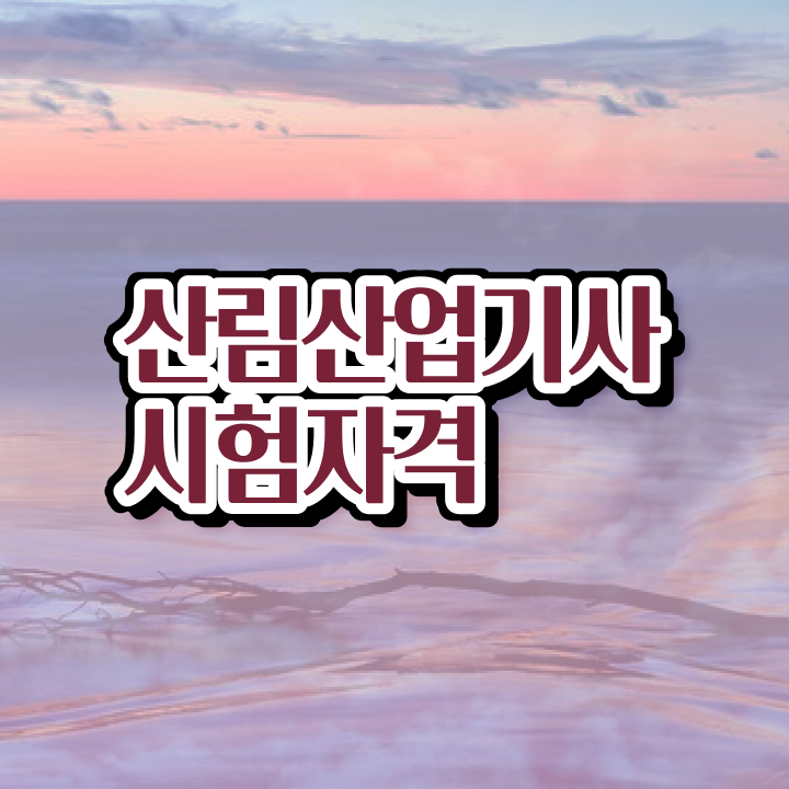  산림 산업기사교재 산림산업기사 취득자격 온라인 과정으로 반 년만에 성공한 비법