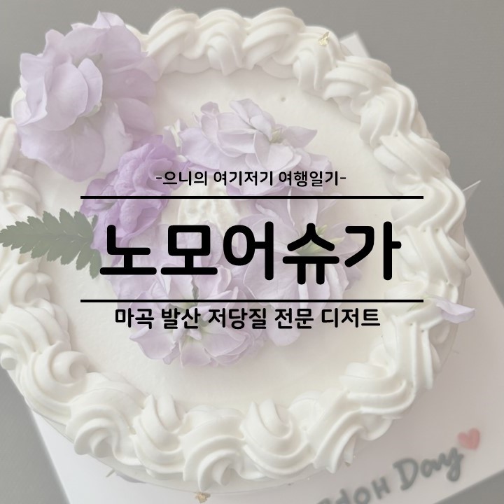  마곡 발산 저탄수 글루텐프리 주문 제작 기념일 케이크 맛집 추천 노모어슈가