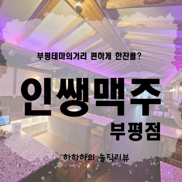  부평역 테마의거리 안주많은 술집 편안하게 인쌩맥주