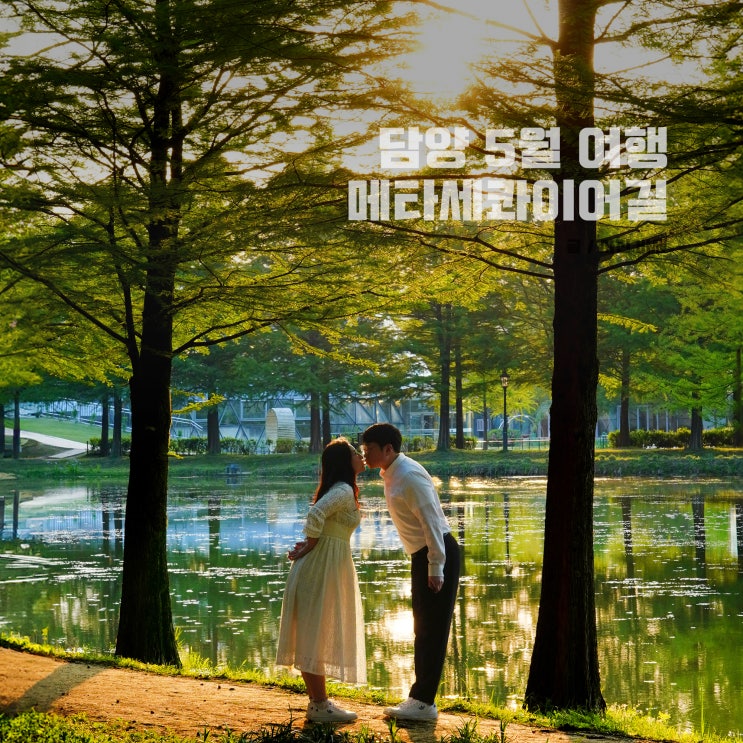  5월 6월 담양 여행지, 메타세콰이어길 입장료, 호수, 일몰