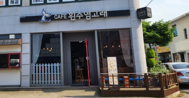 흰수염고래 사진 1