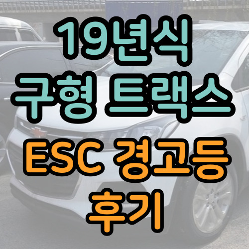  19년식 트랙스 1.4T ESC 경고등 후기
