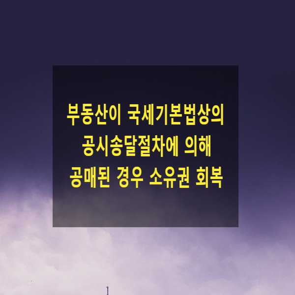  부동산이 국세기본법상의 공시송달절차에 의해 공매된 경우 소유권 회복