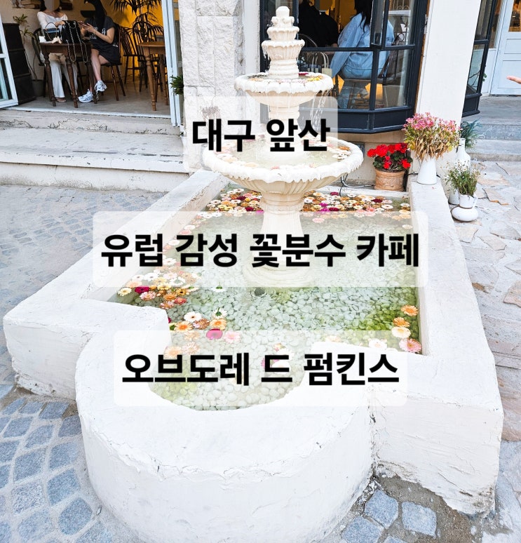  대구 앞산 유럽 감성 꽃분수 포토존이 이쁜 카페  오브도레 드 펌킨스