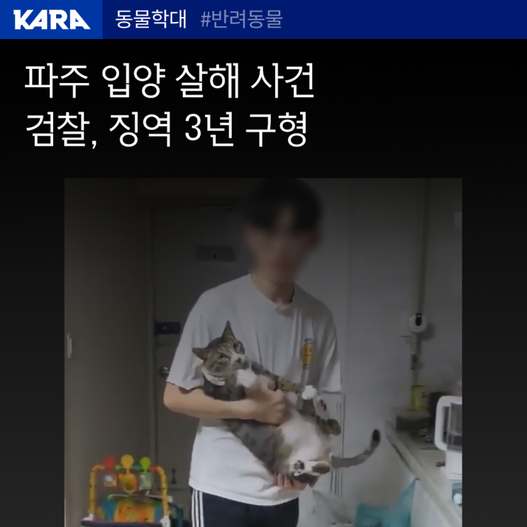 파주 입양 학대 살해 사건, <b>검찰 징역</b> 3년 구형!