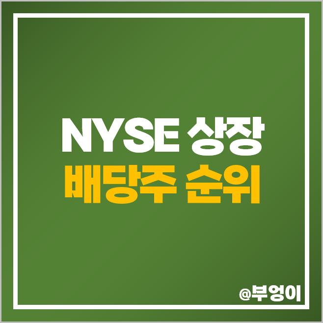 NYSE 배당금 높은 주식 미국 배당주 ETF 순위 커버드콜 NYSE 배당금 높은 주식 미국 배당주 ETF 순위 커버드콜