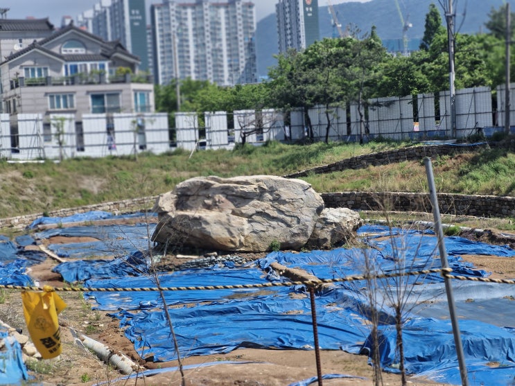  구산동지석묘, 국내 최대 규모의 고인돌
