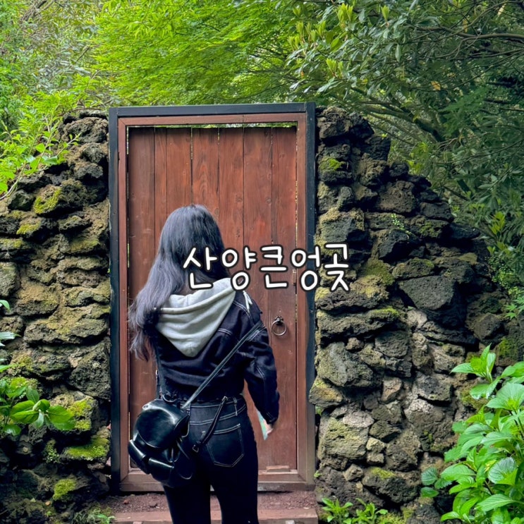  제주도 여행시 가볼만한 기찻길 포토존으로 유명한 산양큰엉곶 다녀온 내돈내산 후기
