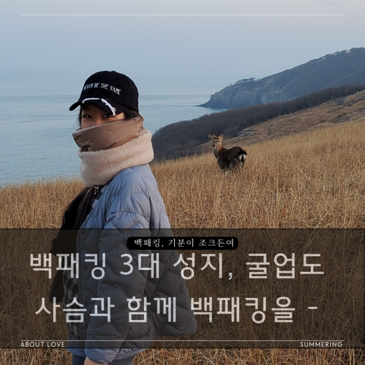  백패킹 3대성지 - 한국의 갈라파고스, 굴업도