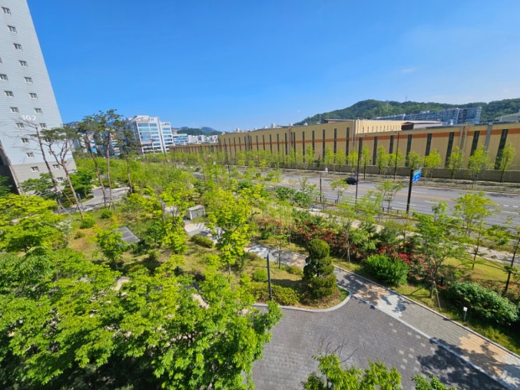  282일차