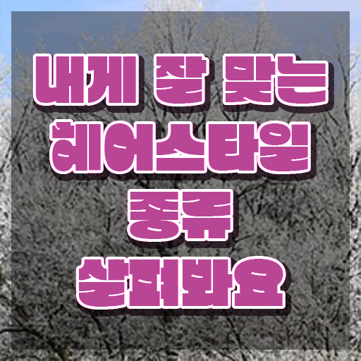  헤어학원 , 커트지도사 자격증 취득한 노하우 체크해보세요