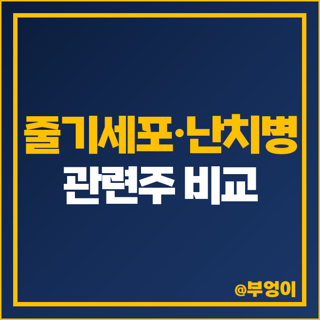 줄기세포 관련주 HLB 주식 파미셀 안트로젠 주가 차바이오텍 줄기세포 관련주 HLB 주식 파미셀 안트로젠 주가 차바이오텍