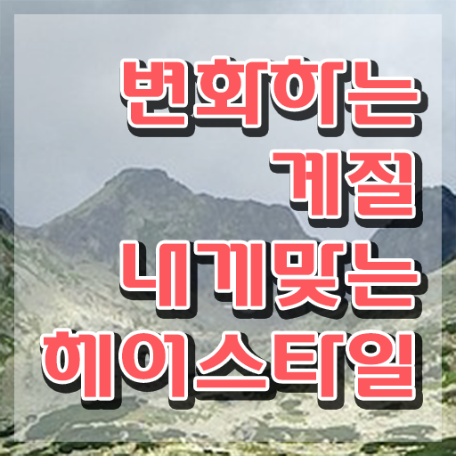  미용자격증 , 커트지도사 자격증 취득한 정보 요점정리