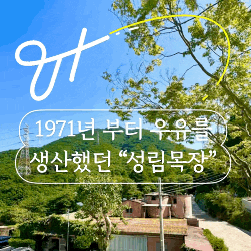  양산 핫플카페-성림목장(부산근교 숲속카페)