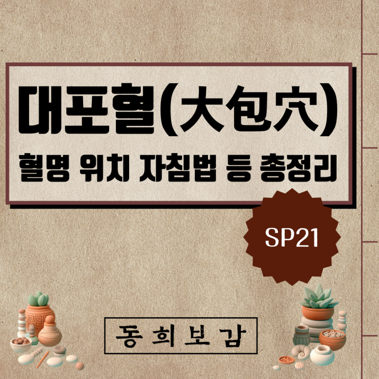  대포혈(大包穴) SP21, 소속경맥 혈명 위치 특성 자침법 등 총정리